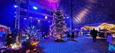 Ein festlich dekorierter Weihnachtsmarkt mit einem großen beleuchteten Weihnachtsbaum. Umgeben von zahlreichen kleinen Ständen und bunten Lichtern in einer stimmungsvollen Atmosphäre.
