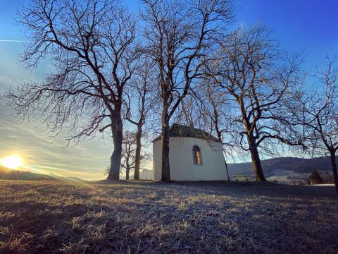 Une petite chapelle entourée d'arbres dénudés au lever du soleil.