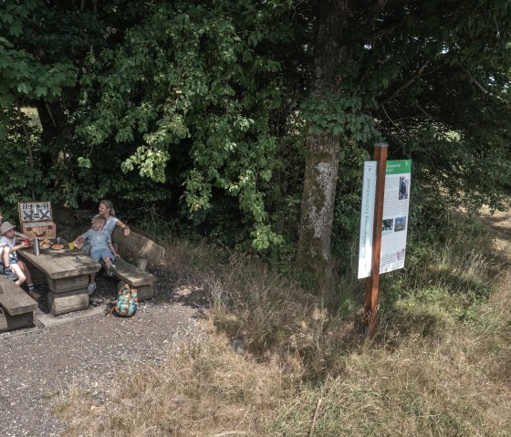 Chemin des haies à Eicherscheid, © Eifel Tourismus GmbH, Tobias Vollmer
