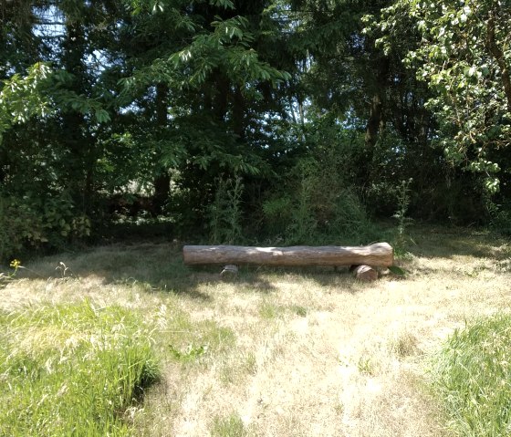 in der Natur