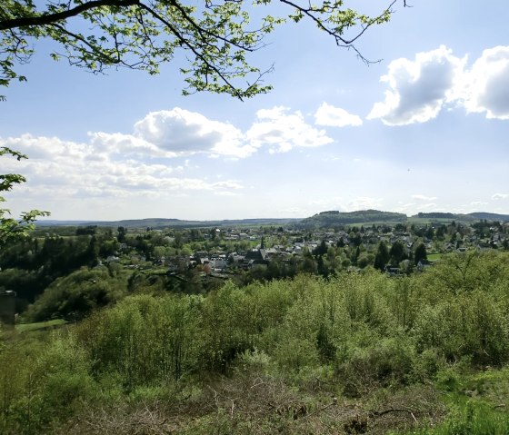 Manderscheider Burgenstieg : Vue sur Manderscheid, © Eifel Tourismus GmbH