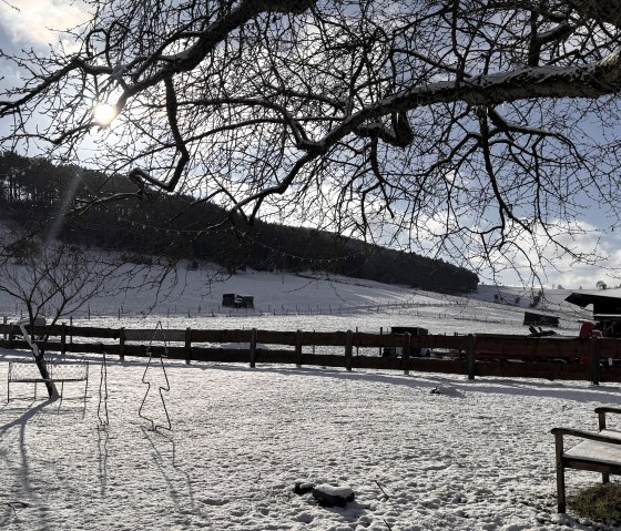 Der Garten