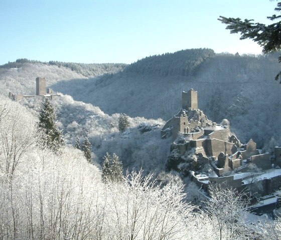 Burgen im Winter