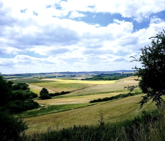Le beau Maifeld
