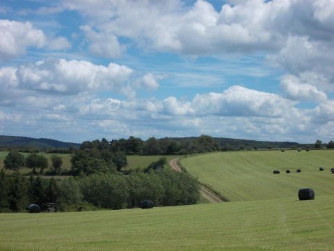 Paysage vert avec ciel bleu