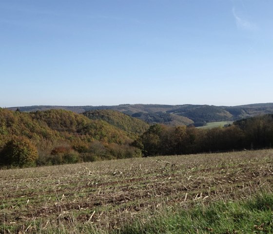 Plateau bij Herhahn, © Edgar Hoss  & Nordeifel Tourismus GmbH