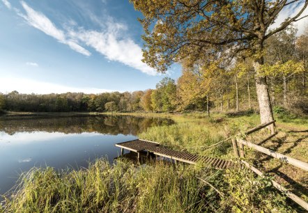 Vulkamaar Trail: Windsborn crater lake, © Eifel Tourismus GmbH - D. Ketz