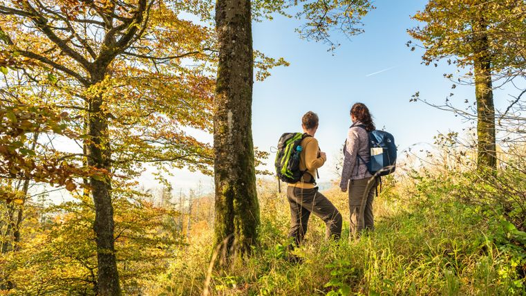 Deux randonneurs entourés de prés et d'arbres regardent au loin.