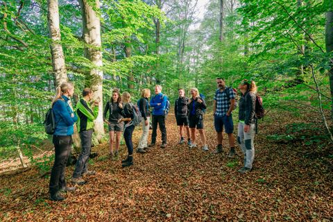 Eine Gruppe von Menschen steht im Wald und unterhält sich. Die Umgebung ist grün und voller Bäume, mit einem bunten Laubteppich am Boden.