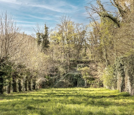 Paysage, © Baumann Fotografie