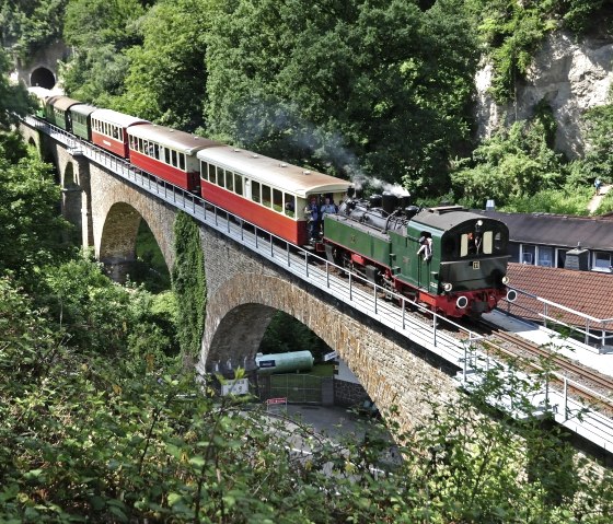 Locomotive à vapeur, © Walter Brueck
