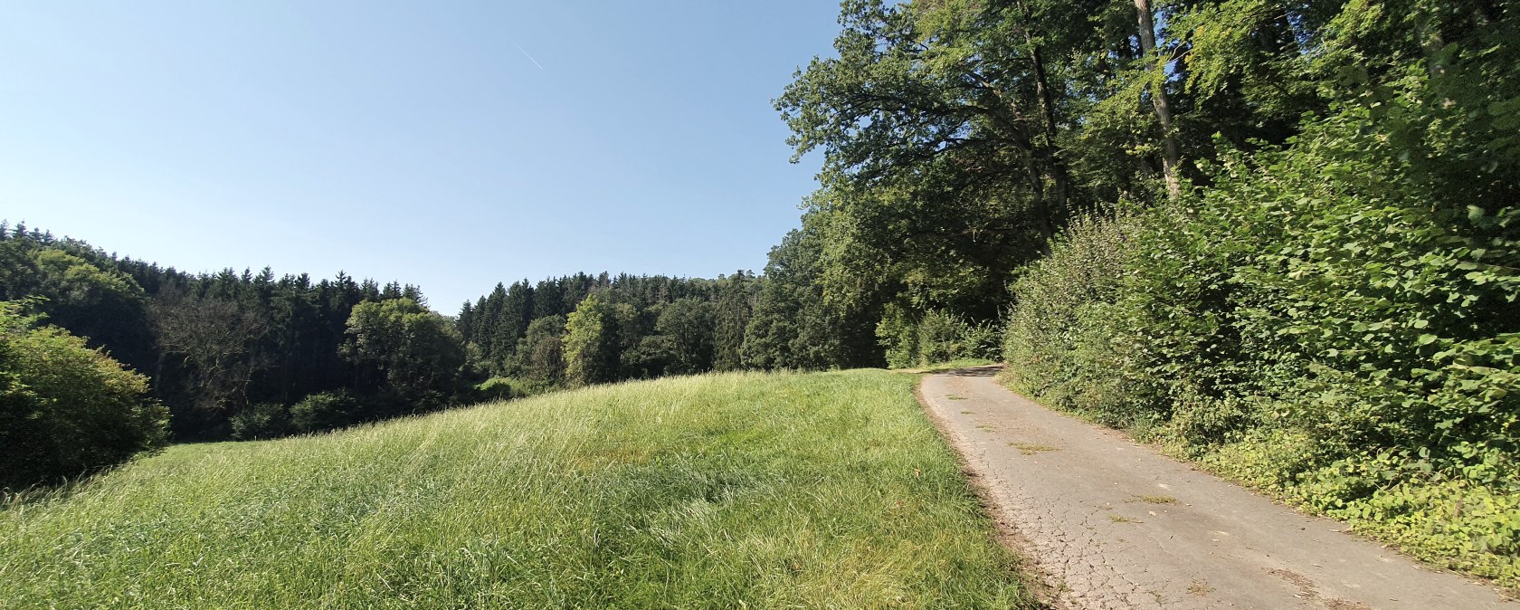 Un chemin étroit longe la lisière d'une forêt, entouré de prairies et d'arbres verts. Le ciel est clair et bleu., © Tourist-Information Bitburger Land