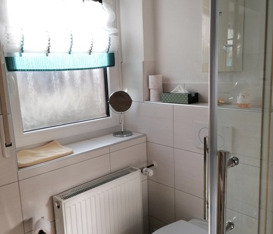 Douche/WC avec douche 90x90