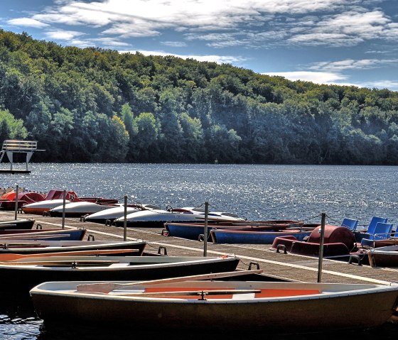Défilé de bateaux