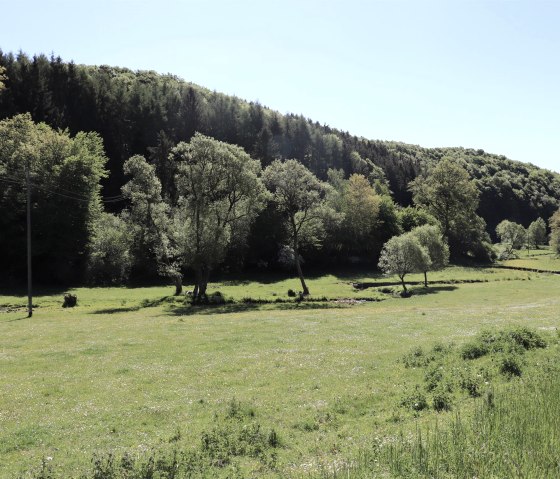 Enz-Radweg, © Tourist-Info Islek