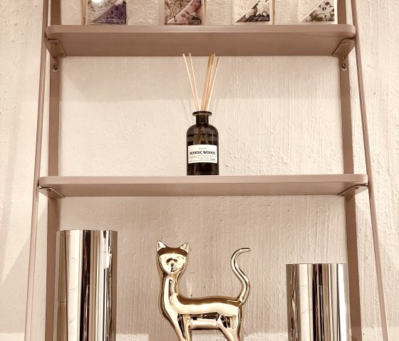 Shelf in the bathroom