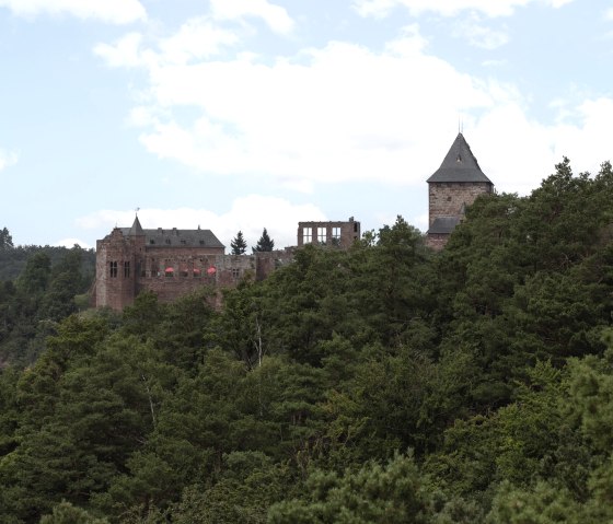 Uitzicht op kasteel Nideggen vanaf het ontdekkingspad, © Eifel Tourismus GmbH, Tobias Vollmer - gefördert durch REACT-EU