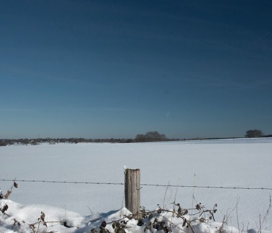 Winter, © Juliane Paustenbach