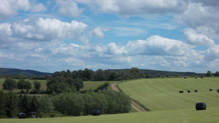 Paysage vert avec ciel bleu