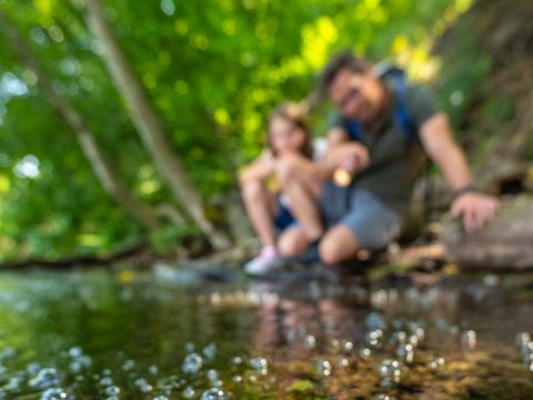 Aufsteigende Gasbläschen im Laacher See