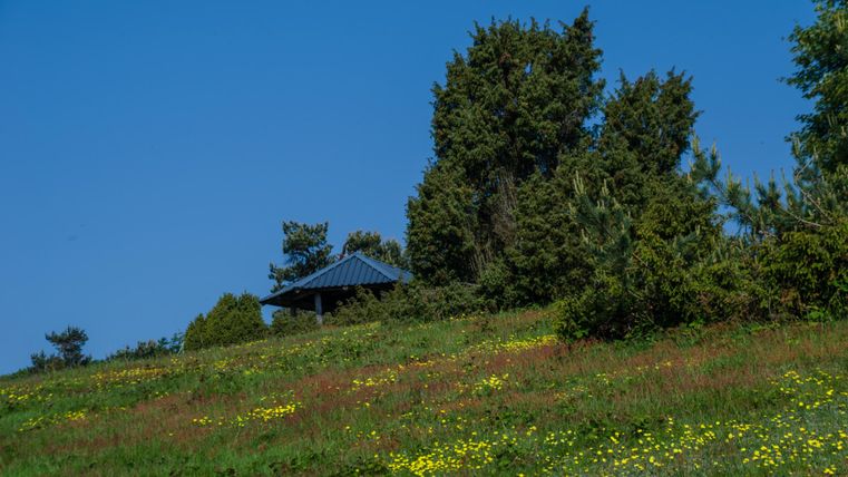 Schutzhütte auf einem Hügel umgeben von Wiese und Bäumen