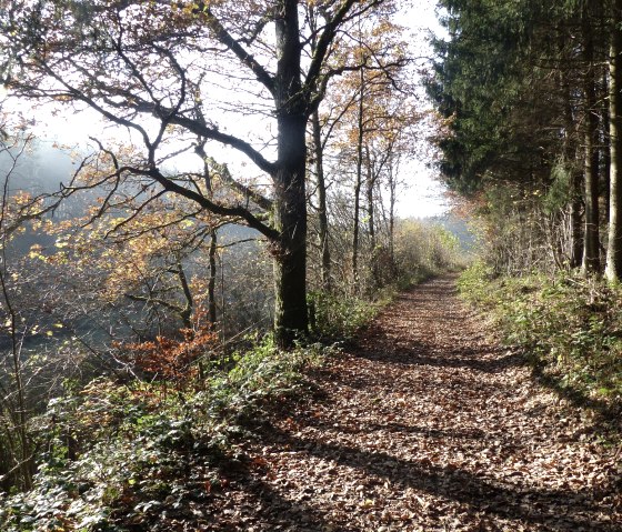 Sentier de randonnée n° 87 en automne, © Tourist-Information Islek