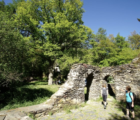 Mädburg monastery ruins near Kehrig, © Laura Rinneburger
