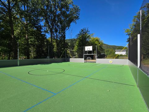 A sports field with green artificial turf and a basketball hoop. In the background, there are trees and blue sky.