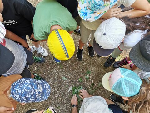 A group of children is standing in a circle and is attentively looking at the ground. They are wearing different hats and examining something in the soil.