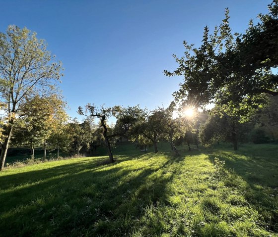 Jardin gourmand d'Irrel - Pré verger, © Felsenland Südeifel Tourismus, Anna Carina Krebs