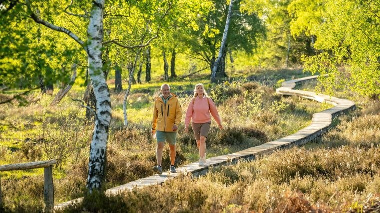 A couple is walking along a wooden walkway through an idyllic landscape with green vegetation. The sun is shining, and there is a pleasant, cheerful atmosphere.