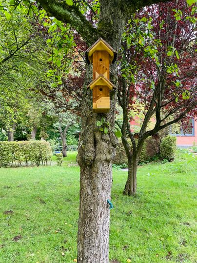 Une belle maison pour oiseaux en bois, suspendue à un arbre. L'arrière-plan montre une pelouse verte et des arbres denses.