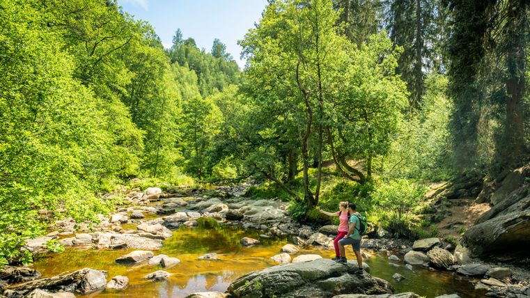 Zwei Wanderer stehen auf Felsen an einem Fluss im Wald.