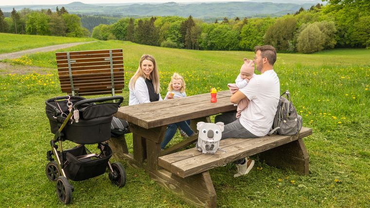 Famille assise à une table de pique-nique dans un paysage verdoyant.