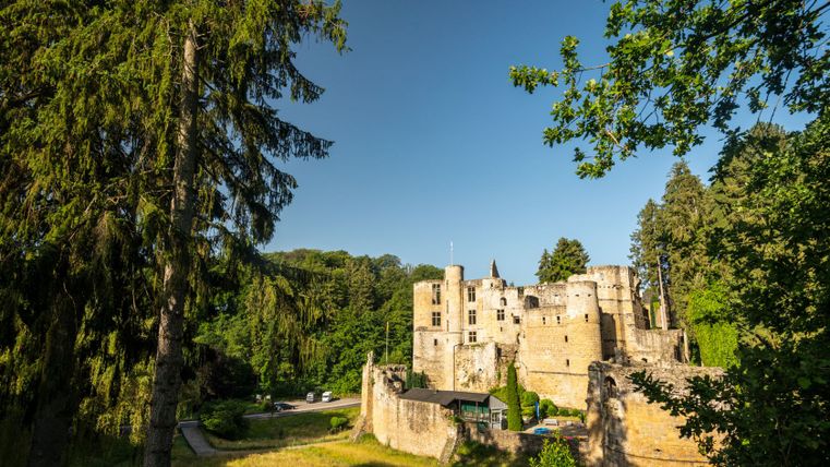 Ruïnes van Beaufort Castle omringd door bomen onder een heldere hemel.