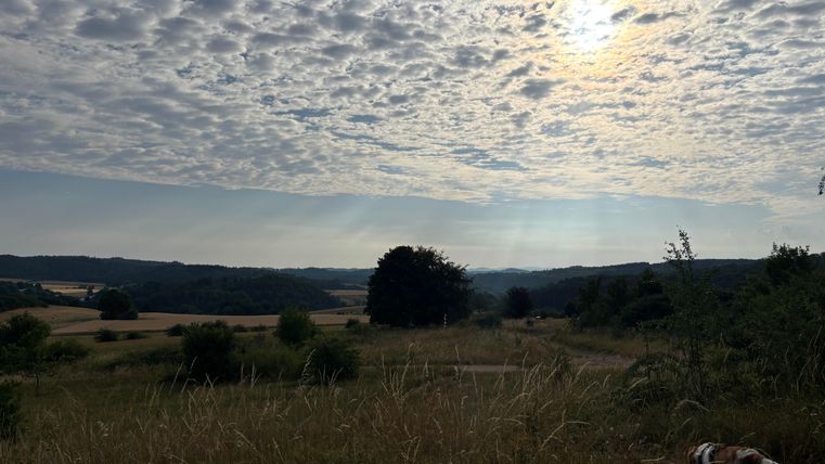 Un matin d'été tôt à Rohr
