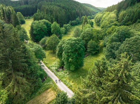 Vue aérienne d'une vallée verdoyante avec des arbres et un chemin sur lequel circulent des cyclistes.