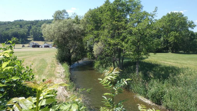 A stream flows through a green landscape with trees and meadows, buildings can be seen in the background.