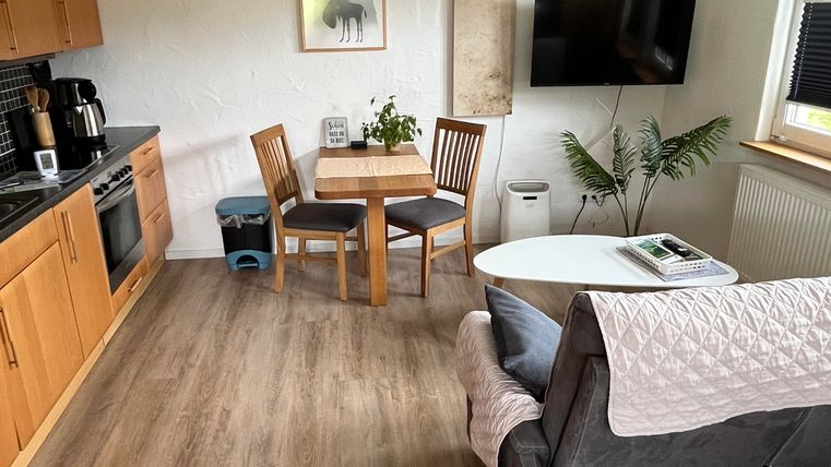 A bright and cozy living kitchen with a modern design. The room includes a dining area, a kitchen, and a seating area with plants.
