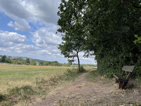 A narrow path leads through a green landscape with a view of fields and trees. On the right side, there is a wooden bench under the trees.