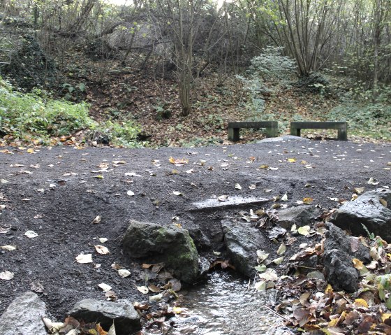 Petite source dans le Nettepark, © VG Pellenz/Chagas da Silva
