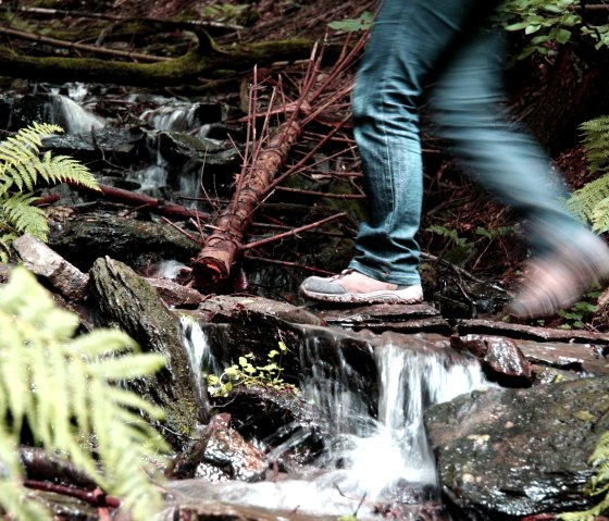 Hiking on the wilderness trail, © G.Priske