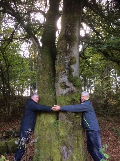 Two men are hugging a large tree in a forest. The surroundings are green and surrounded by trees, with soft light streaming through the leaves.