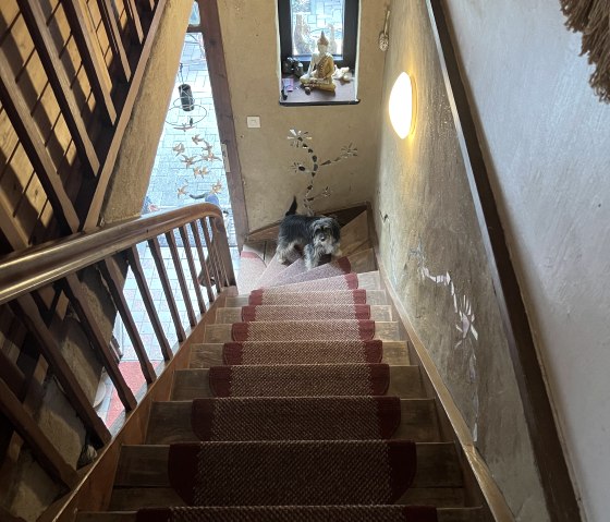 Staircase to the vacation apartment