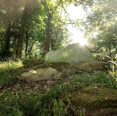 Ambiance mystique autour d'une tombe en pierre, © Eifel Tourismus GmbH, D. Ketz