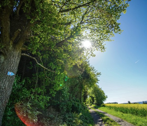 Retour de Döttingen à Herresbach, © Laura Rinneburger