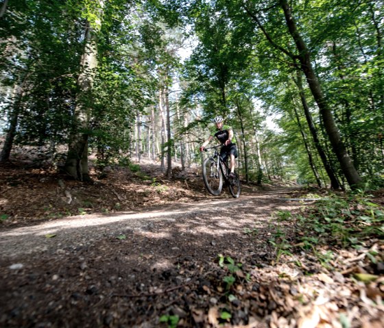 Tour MTB Freifahrt Eifel, © some.oner