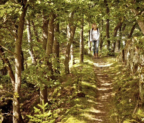 Smalle paden rond Bad Bertrich/wandelroutes rond Bad Bertrich, © GesundLand Vulkaneifel/Marco Rothbrust