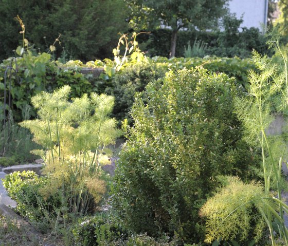 In de tuin2