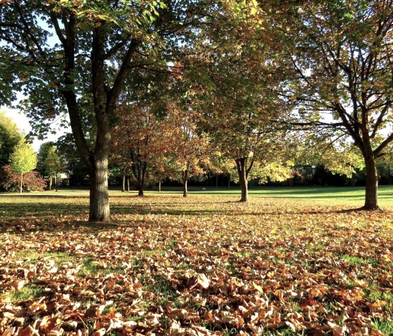 Parc municipal Paysage, © Werner Pelm